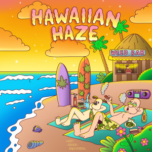 Listen to Hawaiian Haze song with lyrics from Ol Wallace