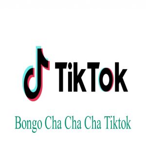 Dengarkan lagu Bongo Cha Cha Cha Tiktok Song nyanyian Tik Tok dengan lirik