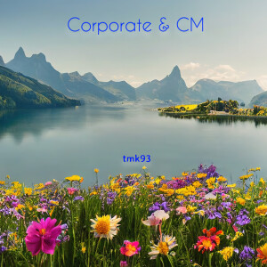 tmk93的专辑Corporate & Commercial