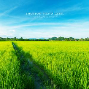 Album Calming Peaceful Music from Various Artists