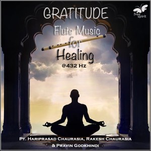 ดาวน์โหลดและฟังเพลง Farewell at 432 Hz พร้อมเนื้อเพลงจาก Rakesh Chaurasia