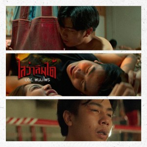Listen to ไสว่าลืมได้ song with lyrics from บอย พนมไพร