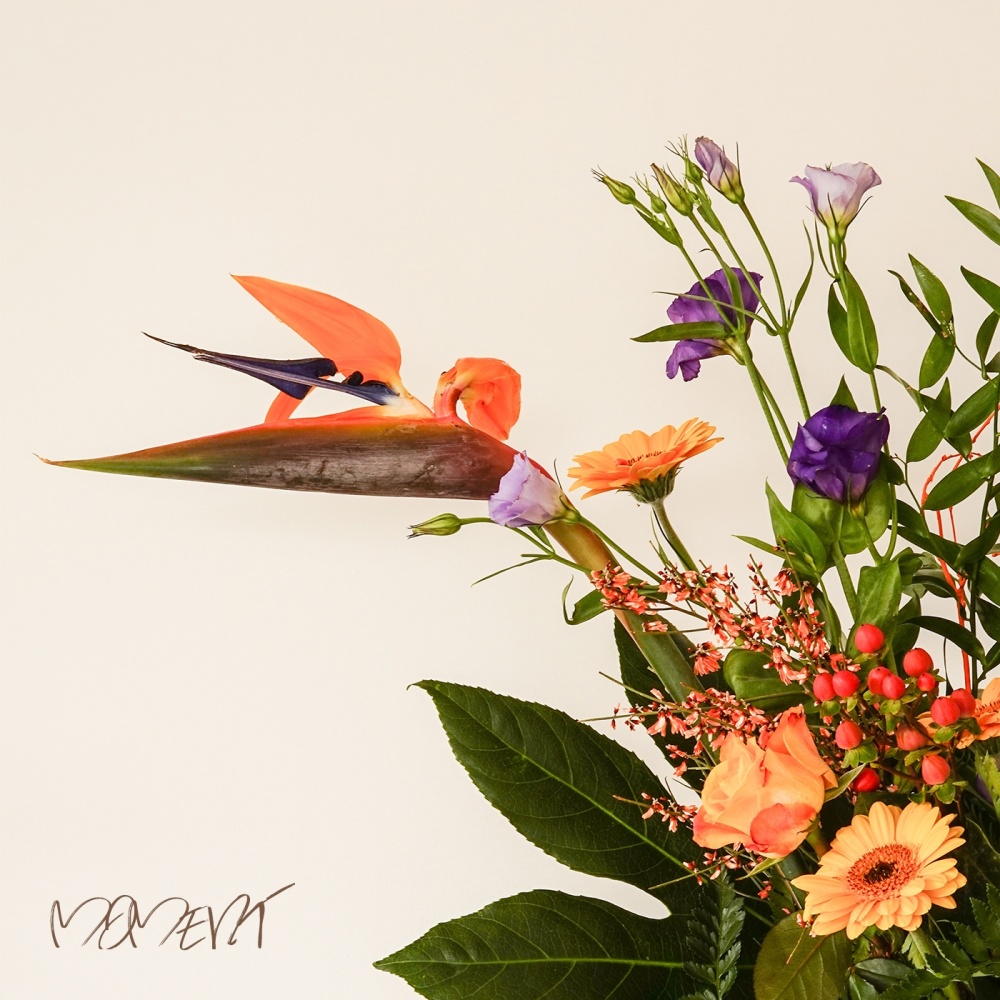 Moment (Feat. RIPLEY (리플리))