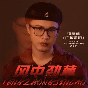 收聽潘德林的風中勁草歌詞歌曲