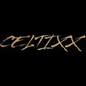 Album Stay Focused (Explicit) oleh Celtixx