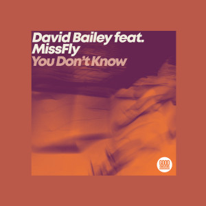 David Bailey的专辑You Don't Know