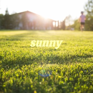 收聽Mantovani & His Orchestra的Sunny歌詞歌曲