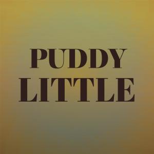 Album Puddy Little from Various