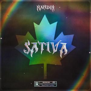 ดาวน์โหลดและฟังเพลง Sativa (Explicit) พร้อมเนื้อเพลงจาก Nandin