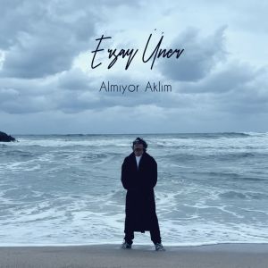 Listen to Almıyor Aklım song with lyrics from Ersay Üner