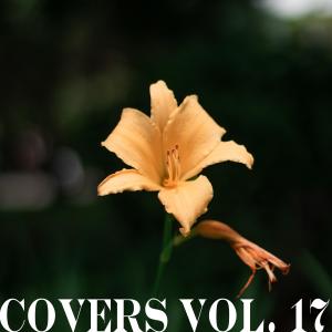 Covers Vol. 17 dari Chill With Lofi