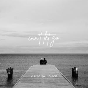 David Gauthier的專輯can't let go