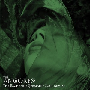 ดาวน์โหลดและฟังเพลง The Exchange (feat. James Dean Bradfield) (Jermaine Soul Remix) พร้อมเนื้อเพลงจาก The Anchoress