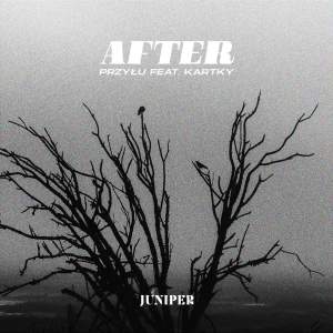 收聽Przyłu的After歌詞歌曲