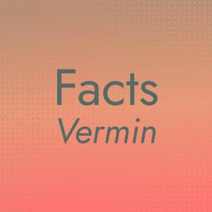 Dengarkan lagu Cts Madre nyanyian Hody Medda dengan lirik