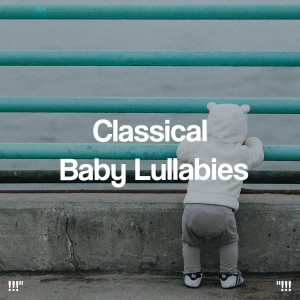 Album !!!" Classical Baby Lullabies "!!! from White Noise