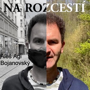 Listen to Na rozcestí (Acoustic version) song with lyrics from Aleš Agi Bojanovský