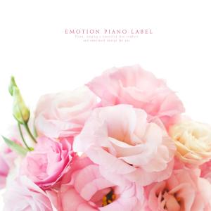 ดาวน์โหลดและฟังเพลง Today With You พร้อมเนื้อเพลงจาก Piano Story
