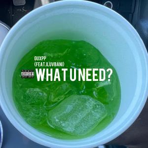 ดาวน์โหลดและฟังเพลง what you need? (Explicit) พร้อมเนื้อเพลงจาก guxpp