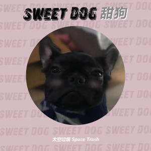 Listen to 甜狗 (伴奏) song with lyrics from 太空垃圾Space Trash