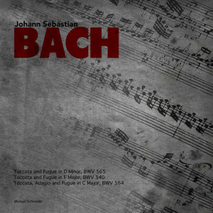 Michael Schneider的專輯Johann Sebastian Bach: Toccata and Fugue Selection