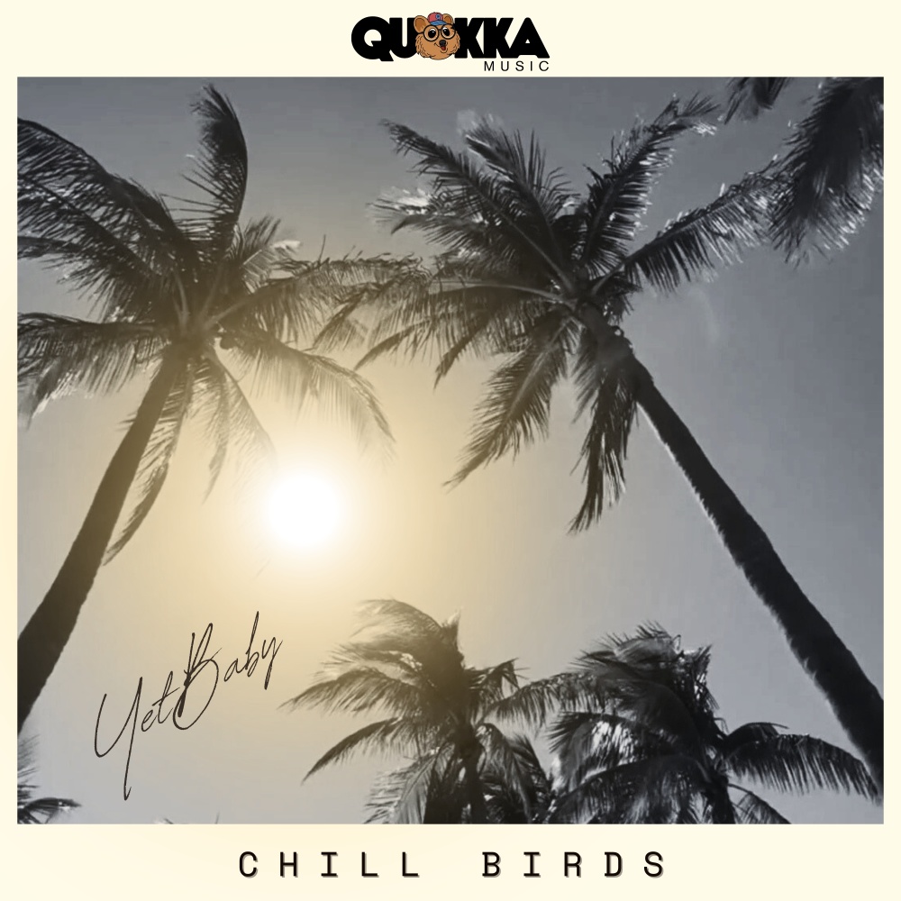 Chill Birds