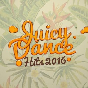 อัลบัม Juicy Dance Hits 2016 ศิลปิน Dance Hits 2014 & Dance Hits 2015