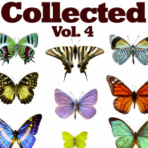 ดาวน์โหลดและฟังเพลง Fall Out (Mario van Core Remix) พร้อมเนื้อเพลงจาก John Clark