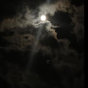 收聽Diego Carrillo的Girl of my dreams (Explicit)歌詞歌曲