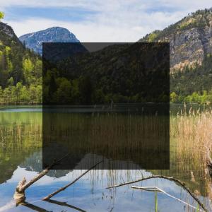 Dengarkan Alto Pollo Al Disco (Explicit) lagu dari Grone dengan lirik