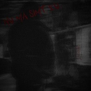 Listen to Nu Mă Simt Eu song with lyrics from Feyky