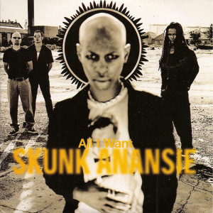 Skunk Anansie的专辑All I Want