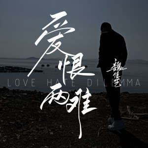 Album 爱恨两难 (DJ沈念版) from 沈念