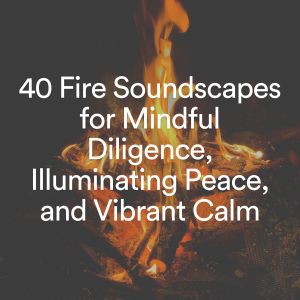 40 Fire Soundscapes for Mindful Diligence, Illuminating Peace, and Vibrant Calm