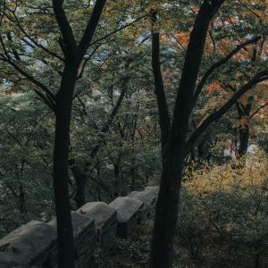 Listen to Sweet Night song with lyrics from Rain for Deep Sleep
