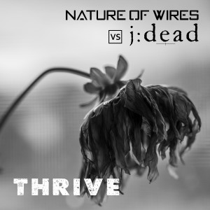 Album Thrive oleh Nature of Wires