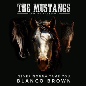 收聽Blanco Brown的Never Gonna Tame You (Original Song from "The Mustangs: America's Wild Horses")歌詞歌曲