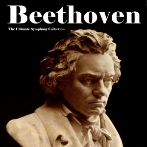 Dengarkan lagu Symphony No.1 in C major Op.21 - I. Adagio molto allegro con brio nyanyian Ludwig van Beethoven dengan lirik