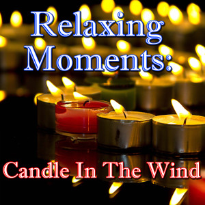 Listen to Can You Fell The Love Tonight song with lyrics from Wilderness