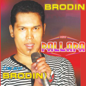 BRODIN F的專輯New Pallapa (The Best Brodin)