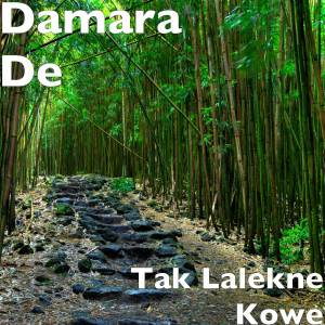 收聽Damara De的Tak Lalekne Kowe歌詞歌曲
