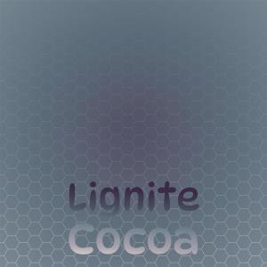 Various Artists的專輯Lignite Cocoa