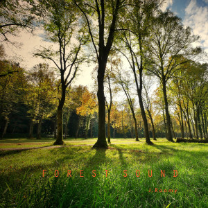 Listen to Wind, Birds, Bugs song with lyrics from J.Roomy
