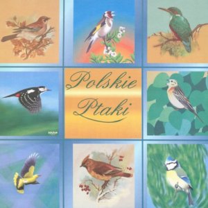 收聽Polskie Ptaki的Nature sounds - Crickets歌詞歌曲