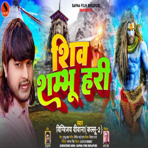 Listen to Shiv Shambhu Hari song with lyrics from Digvijay Deewana