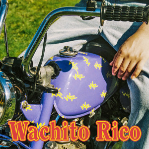 boy pablo的专辑Wachito Rico