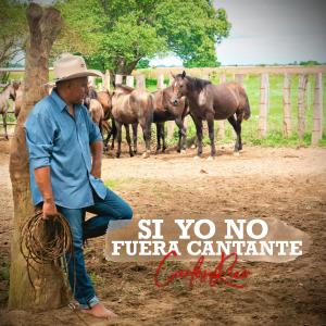 ดาวน์โหลดและฟังเพลง Si Yo No Fuera Cantante พร้อมเนื้อเพลงจาก Carlos Rico