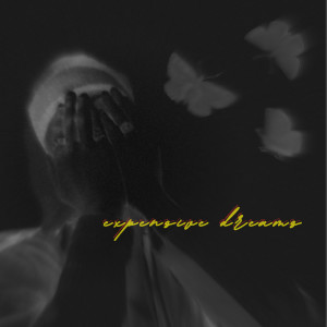 ดาวน์โหลดและฟังเพลง expensive dreams พร้อมเนื้อเพลงจาก Elzon