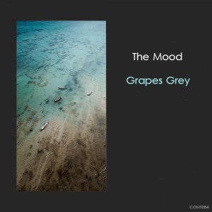 Dengarkan lagu The Mood nyanyian Grapes Grey dengan lirik