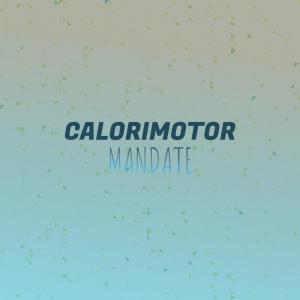 อัลบัม Calorimotor Mandate ศิลปิน Various